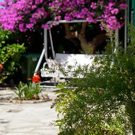 Penthouse Vanja アパート