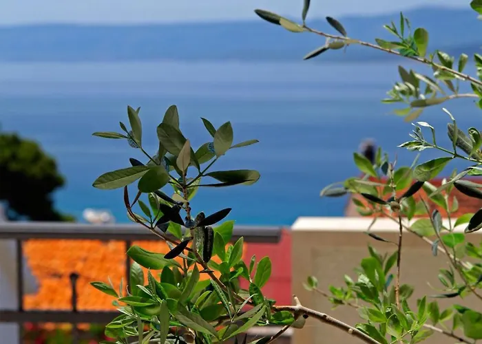 Appartamento Penthouse Vanja