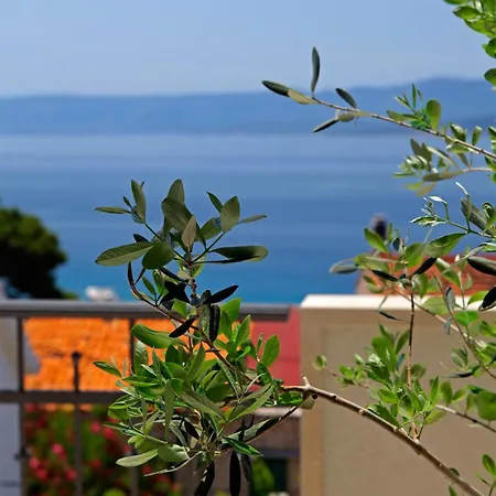 Apartament Penthouse Vanja