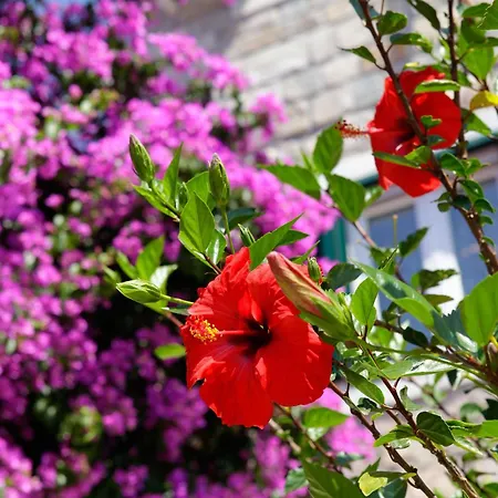 Apartament Penthouse Vanja